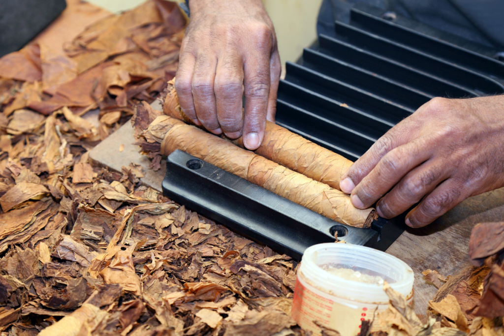 Culture Of Cigar Smoking: The Art Of Cigar Rolling