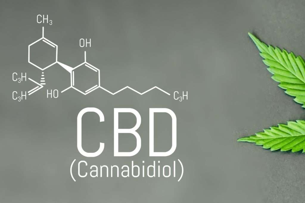 history of cbd