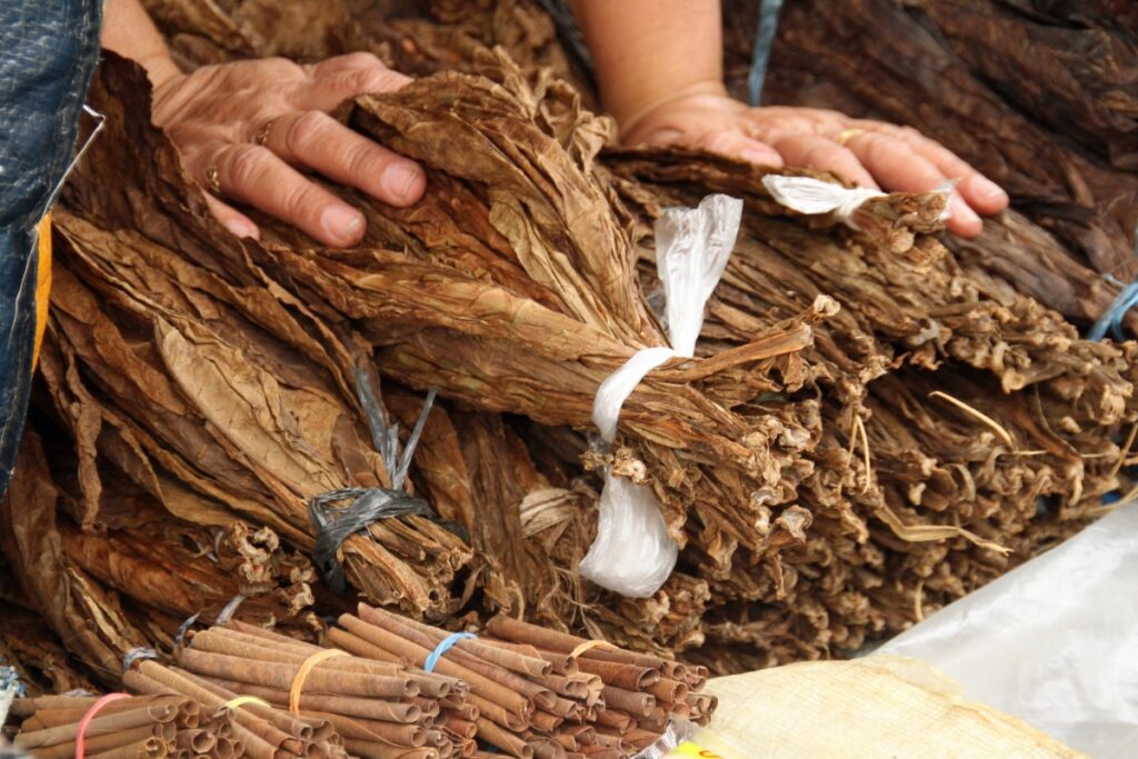 Close-up of bundles of dried tobacco leaves being handled at a market, following new tobacco industry regulations.