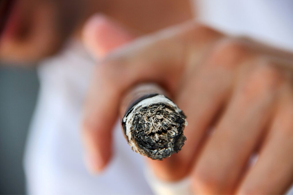 Close-up of a lit cigar held by a person, compliant with tobacco industry regulations, with a blurred background focusing on the ash end of the cigar.