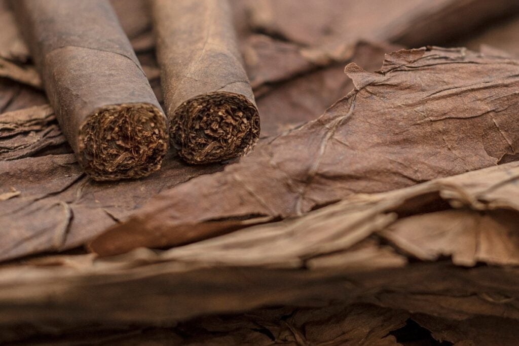 Two cigars resting on a large dried tobacco leaf, compliant with industry regulations, with a close-up view showing detailed textures.