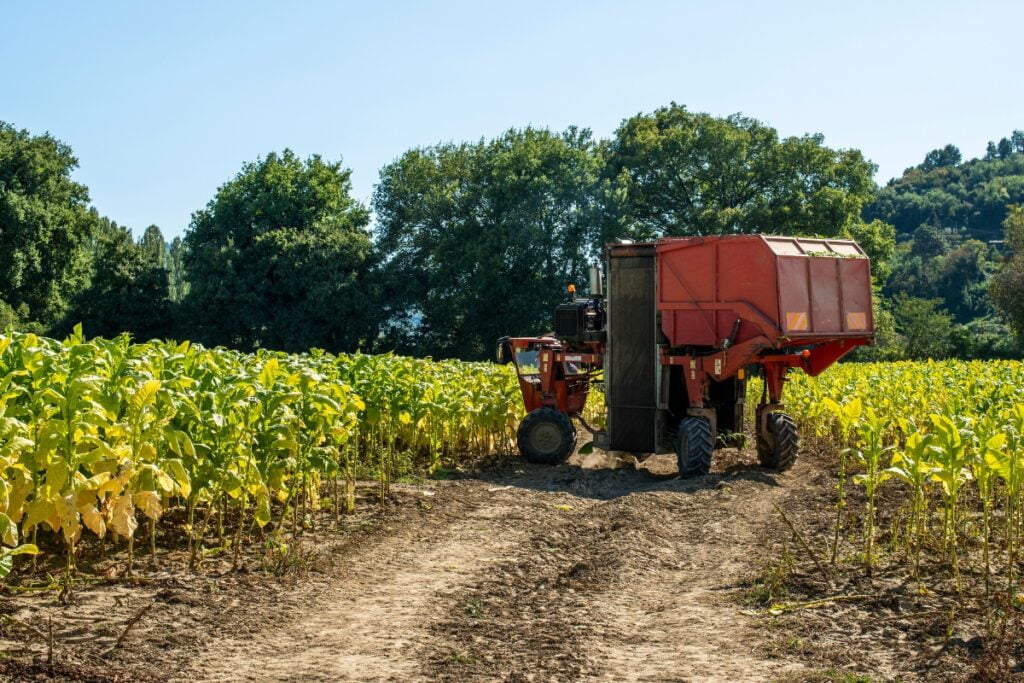 A red tractor moves through rows of green plants in the field, typical of tobacco-producing states, with trees in the background and a clear blue sky overhead.