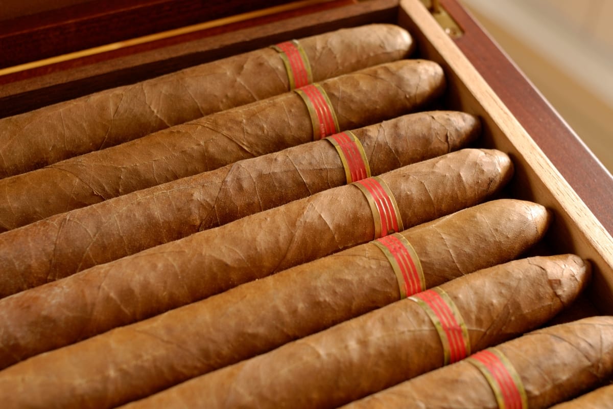 A row of cigars with red bands sits elegantly in a wooden box, reminiscent of the care and craftsmanship found in artisanal beverages.