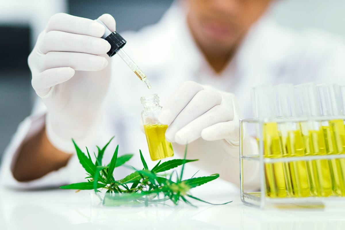 A person wearing gloves uses a dropper to add yellow liquid into a small vial, amidst cannabis leaves and test tubes filled with yellow liquid. This meticulous process helps debunk CBD myths by ensuring product quality and effectiveness.