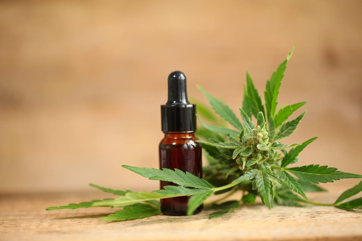 A small brown dropper bottle sits next to a cannabis plant on a wooden surface, evoking the essence of nature's calm. In the blurred background, the allure of CBD vape pens enhances this serene setting.